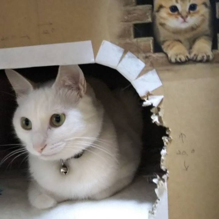 784b03c0 9a49 478c a224 c1532a85c4e3 1645312104839