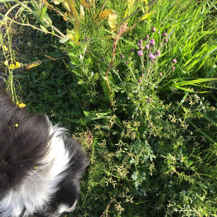 784b34af bfad 4277 af9d bfe98719abdb 1554429632184