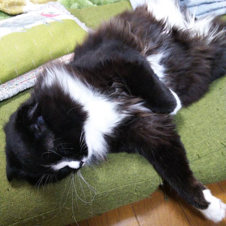 784b858b f986 40a3 89ed c2b6254100eb 1652242073562