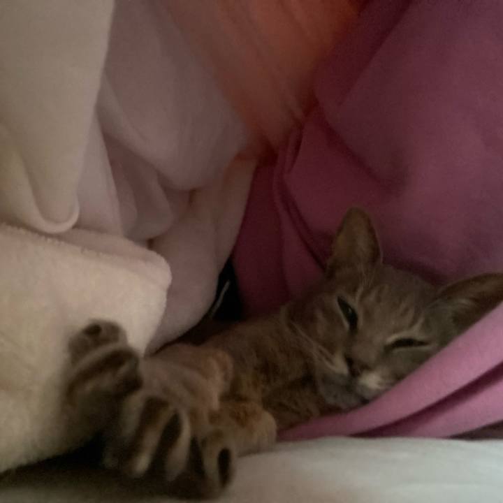 784b95af 3db5 4739 a4f9 de3e8df99ec8 1639721137425