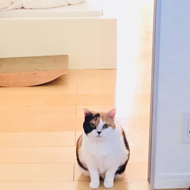 784ba883 b097 421c 94a0 d9d59e3d9d93 1544934911342