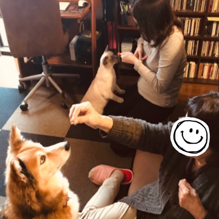 784c2534 e13f 4c54 b028 ac1beefa0bdf 1605960366104