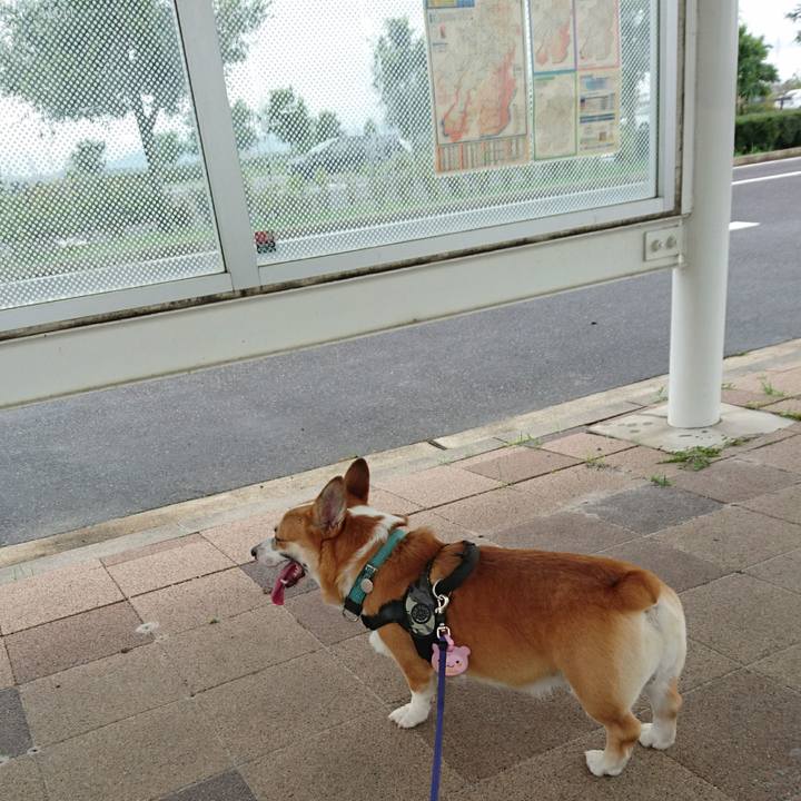 784c2603 bcbb 4aa6 a946 0edeaabc5cb2 1655875095813