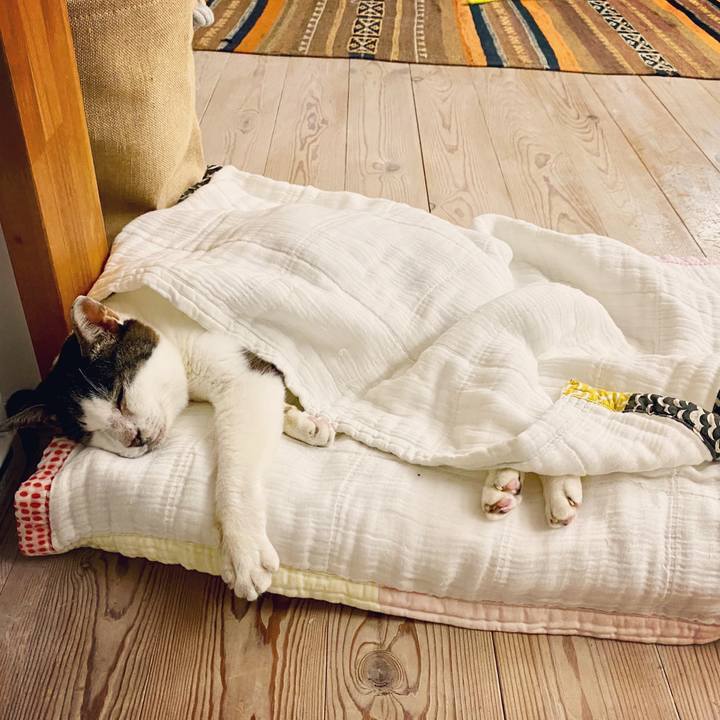 784c29f7 c9fb 4235 93d9 cc74efc964fc 1594306281716