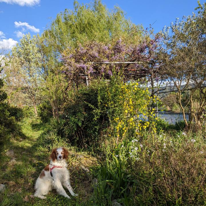 784c35e7 8498 440f 8a68 22c33e636e75 1680944759234