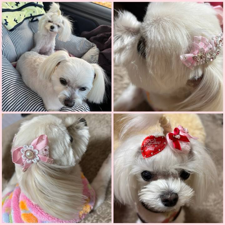 784c46b1 5bc2 4aea afe2 b7b5c3a75083 1739435714901