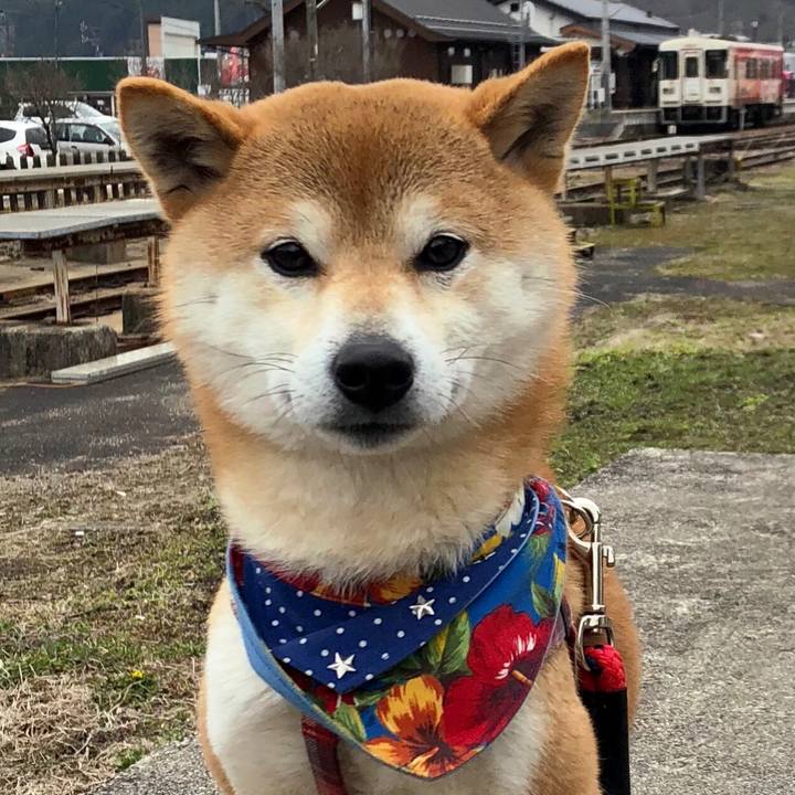 784cad91 d3e8 435d bc21 245a6e8cdd28 1521641918355