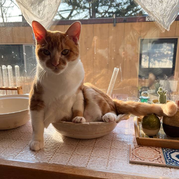 784cd4f3 db4f 4b35 b866 1b74b1ff0604 1680435512470