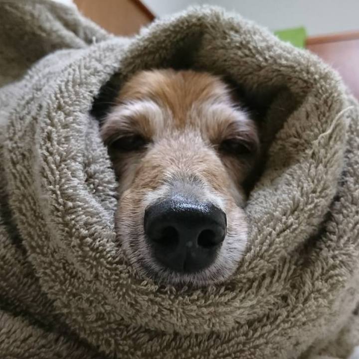 784d0c1a 97ae 4551 9699 3d1b8587fad6 1753034968767