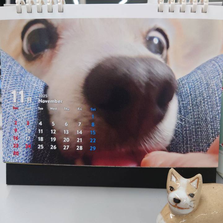 784d0ed5 8a66 435d 8db8 0d68e0bde4bc 1762247961614