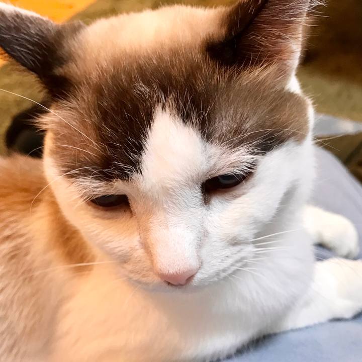 784d2c16 fafe 4601 89a6 acd15e3ba428 1577507590489