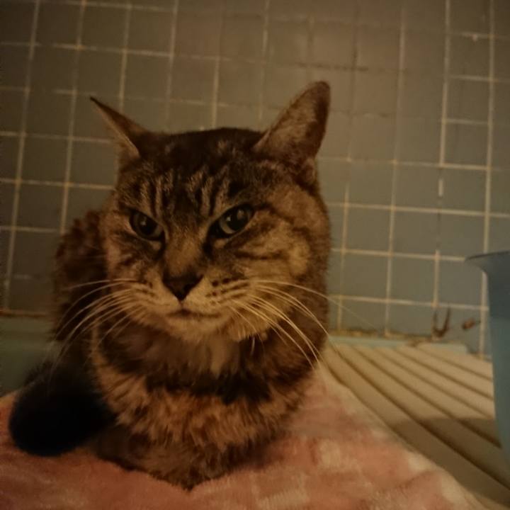 784d5b10 da76 445f 839e 72c82025d872 1578995351683