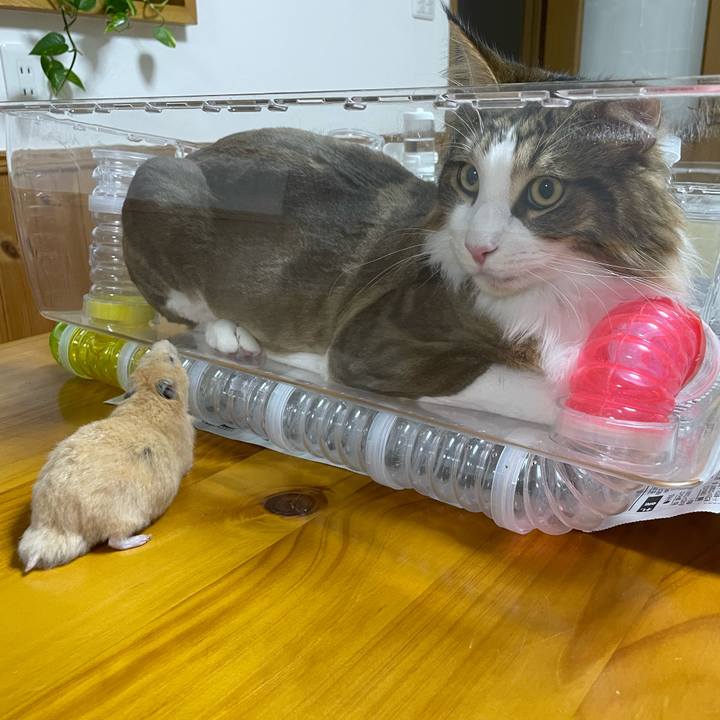 784d5c74 7a3b 4c91 addb 436bd24674da 1658920226549