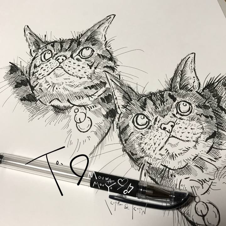 784d6395 b360 4e9d b81a 937fd40291d3 1647956844171