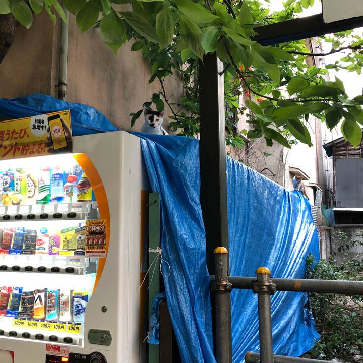 784dbc85 b6ff 4661 9bdb 595a742486d2 1524396964074