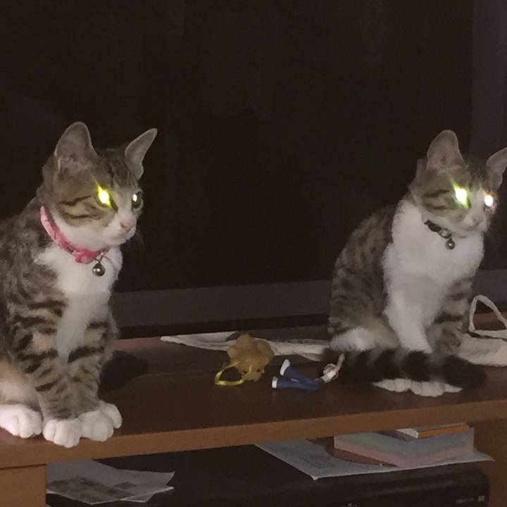 784ddfe8 14c5 4199 8c97 a7eef8141405 1656944822860