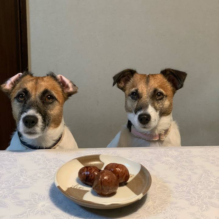 784e2a0b ca6d 44e6 a5c2 b2d3eef64cad 1602602585242