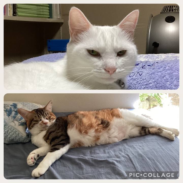 784e4862 5316 4ad6 a768 c5361dd8db45 1692605375090