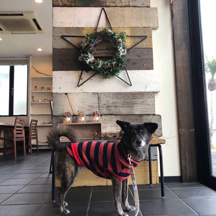 784e675c 3b27 4fe1 a8df ea63f5e8a177 1640301767874