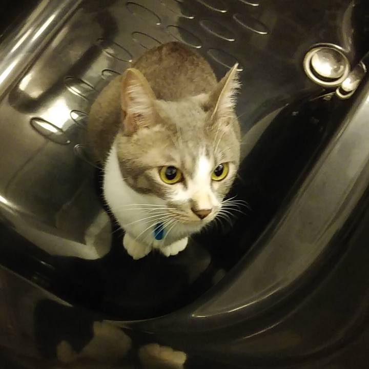 784e97f5 93d2 47a4 8d9b 34cef8e51f8f 1593613905364