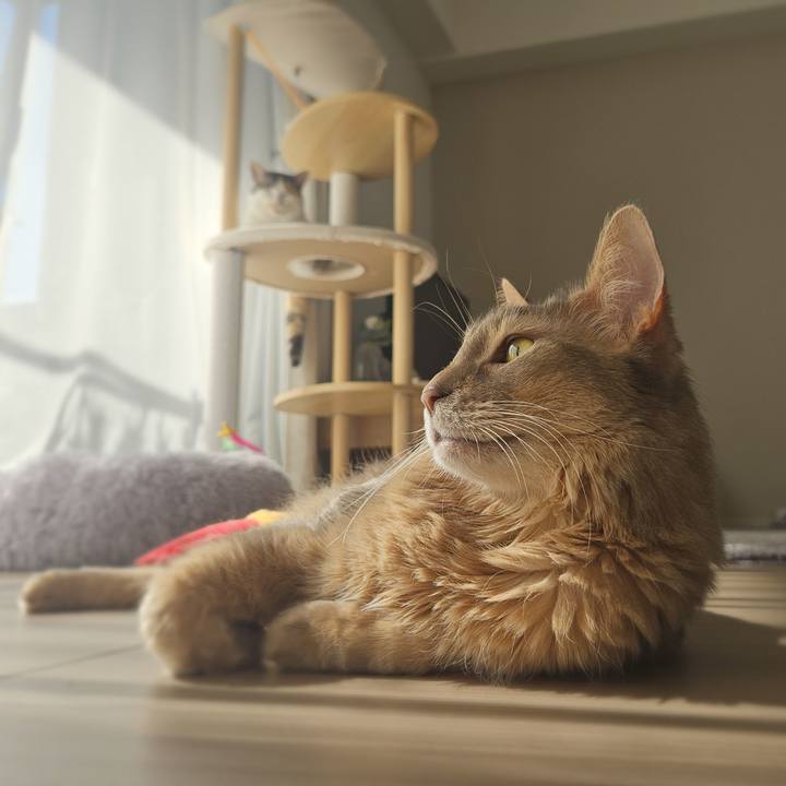 784ead01 8a4f 42e4 bed8 331e0f5c90c3 1771153492171