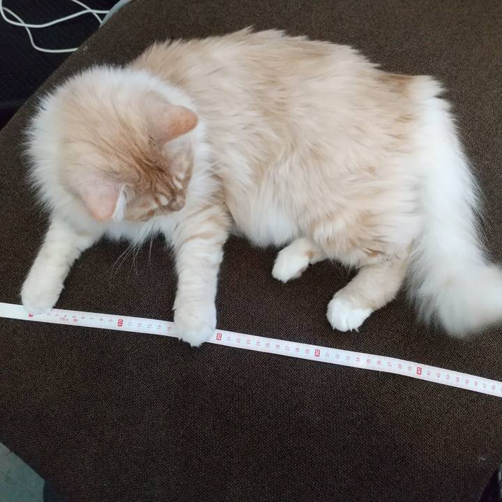 784ec788 d044 4662 b3a6 8e31a323e22c 1649568905260