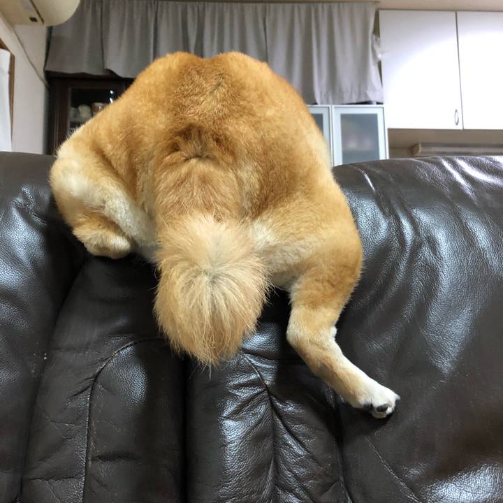 784ee539 ccc8 4d8a a20c 120a9407c47d 1554107135290