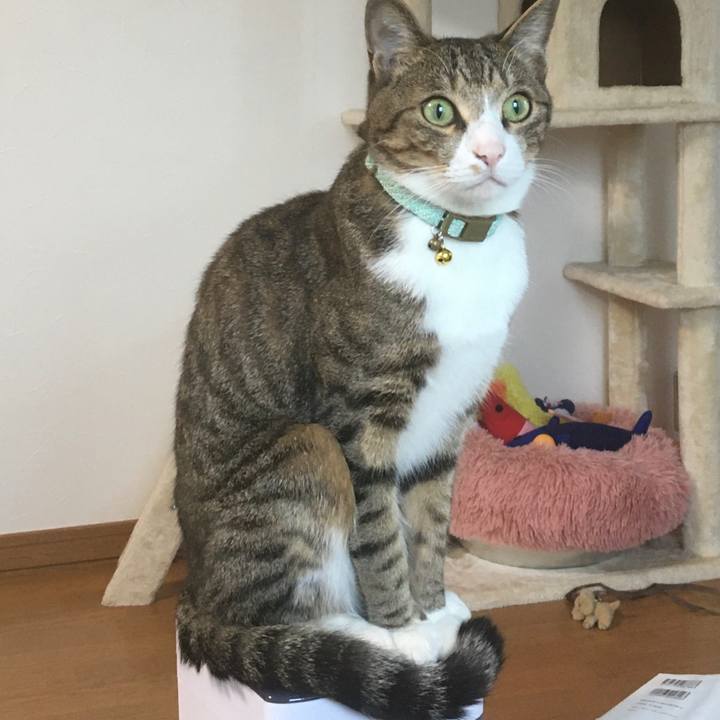 784f3599 e7dc 43b7 af56 e740b77be4c8 1694554137632