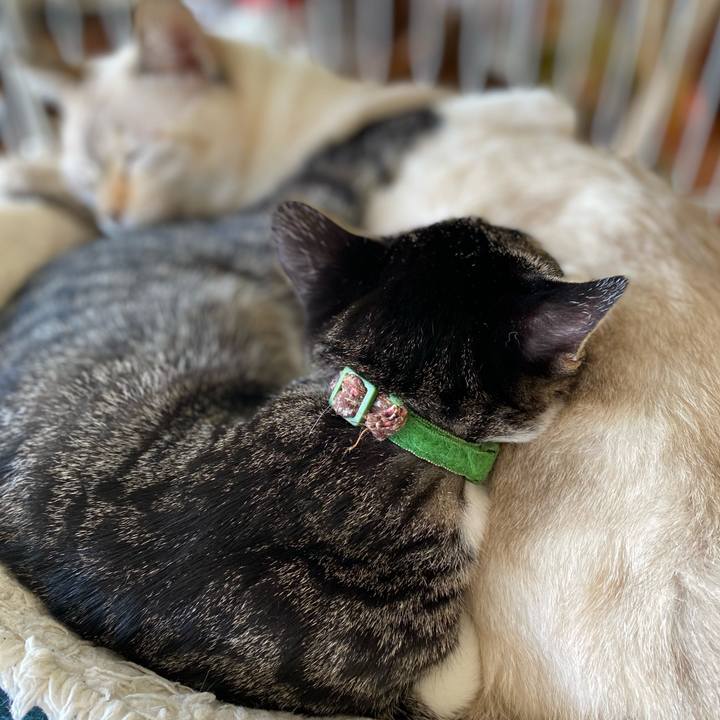 784f362d 35ad 4f7a bce5 754fe1beb778 1695877321712