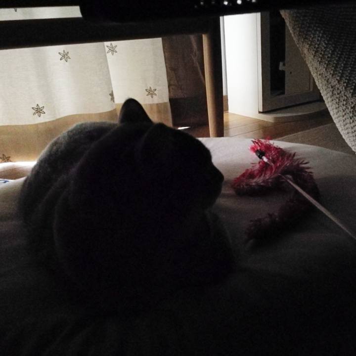 784f9d82 4a3c 4c7e 838f faa38ed12c32 1538621111272