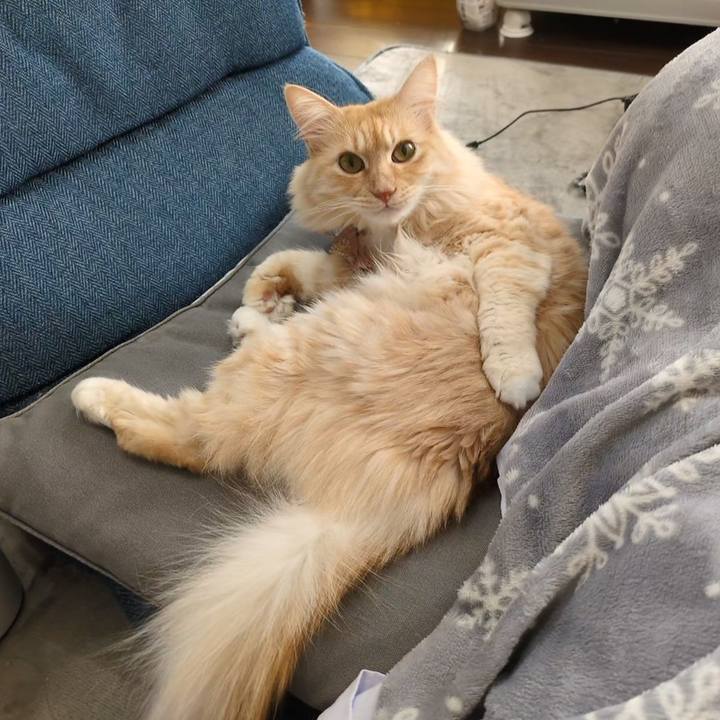 784fb5be 9158 4d09 943d 8890e8278ea3 1735793046259