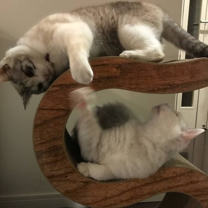 784fb7a0 b70b 4012 a0fa dd94b2cc9713 1515497996313