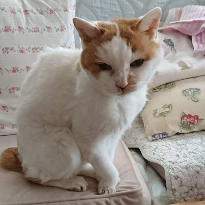 784fba47 c9ac 4dd4 b921 28b24375ccbd 1577596870159