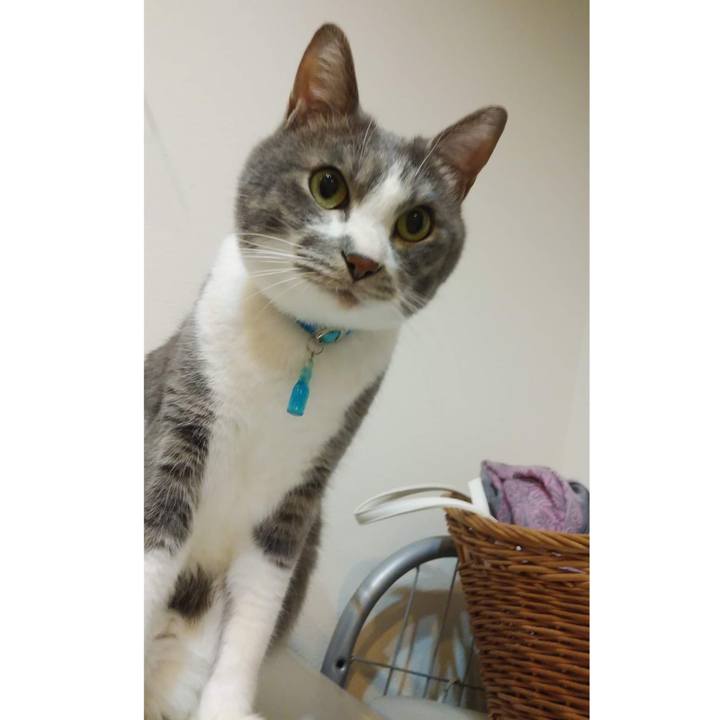 784fd807 7de1 45af b276 98ea56827daa 1646139244644