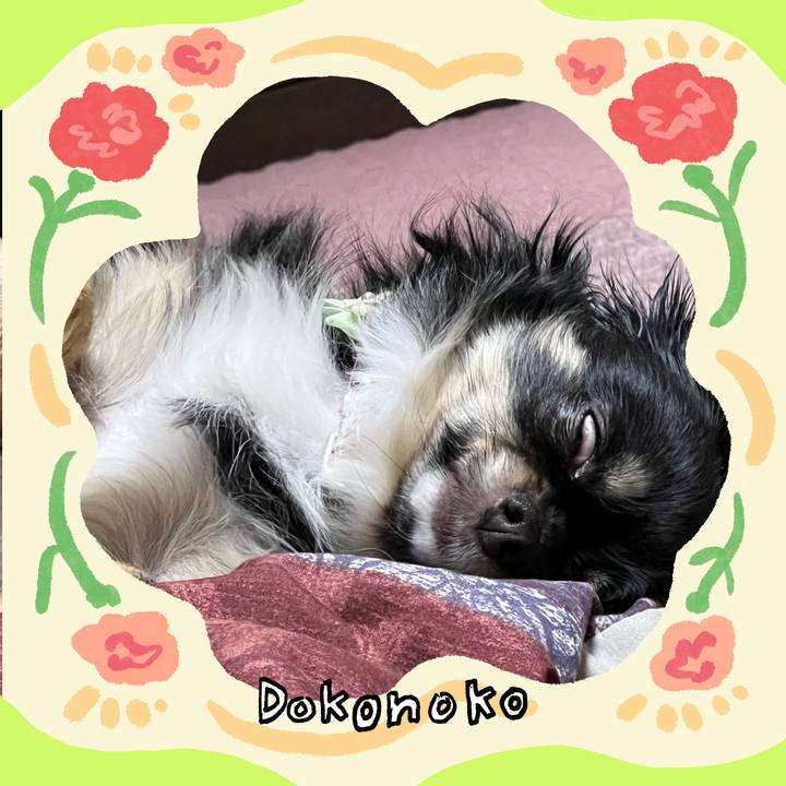 78505b51 3671 4632 a164 12313b0ee80d 1714898513802