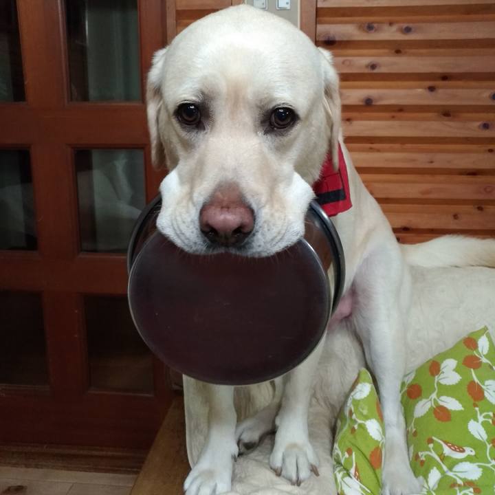 7850b56c 7dfd 49bc 844d da293673260a 1600941838980