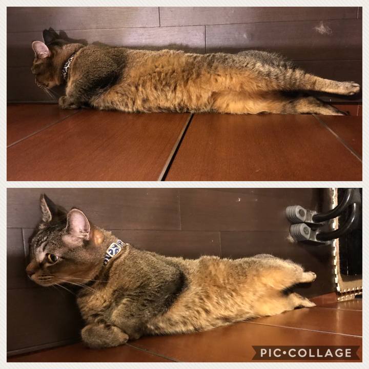 7850ba3a 13d8 44f7 861a 1e713cba1335 1528527032948