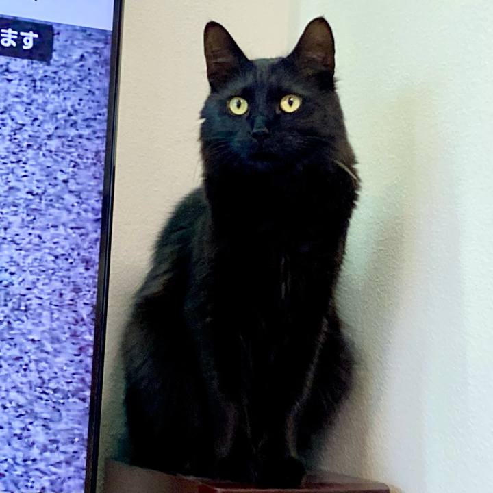 7850c1e2 6aca 4037 94f9 6ee925132370 1740993534514