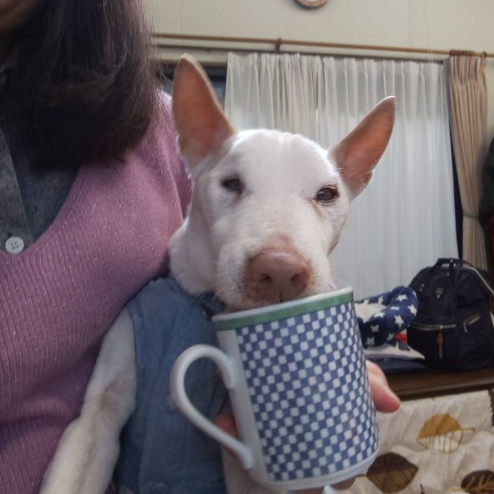 7850dd05 8f83 4288 9329 2729e41ae9f3 1552613520070