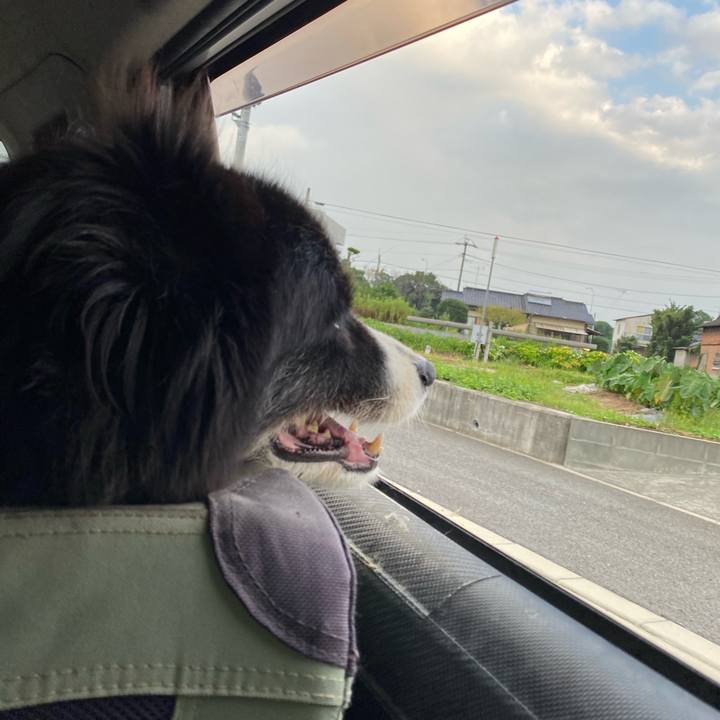 7850efa6 1df7 4f00 9114 25580bccf99e 1695765720552