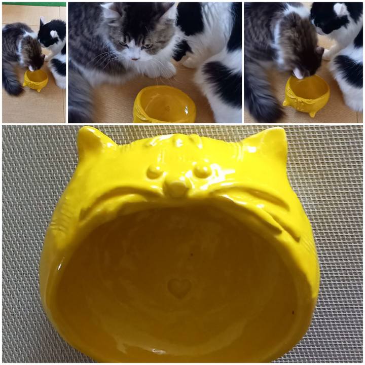 7850fb1a 3ac8 4a12 b856 417d1fcd0c56 1659412172221