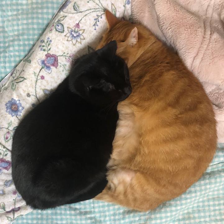 78511a7e f90c 47a6 b6d9 b41f2dd8c54b 1730544836604