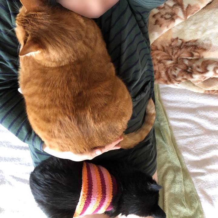 785128c6 f003 4707 a61a 90d85ce21bba 1587885216295