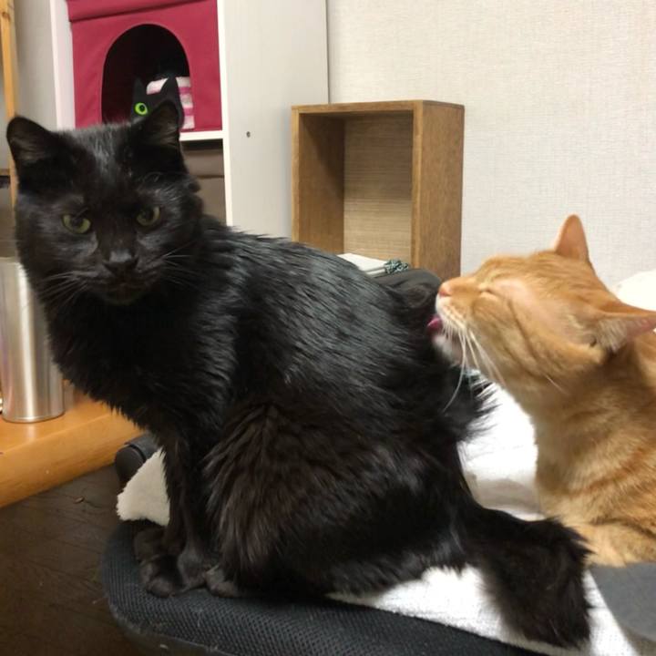 78516de6 c836 411d b58c 18cc8aa5c74c 1614513584546