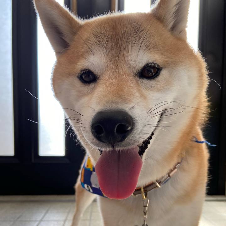 7851881d 9c91 4f73 82be c9578f61013a 1639491262381