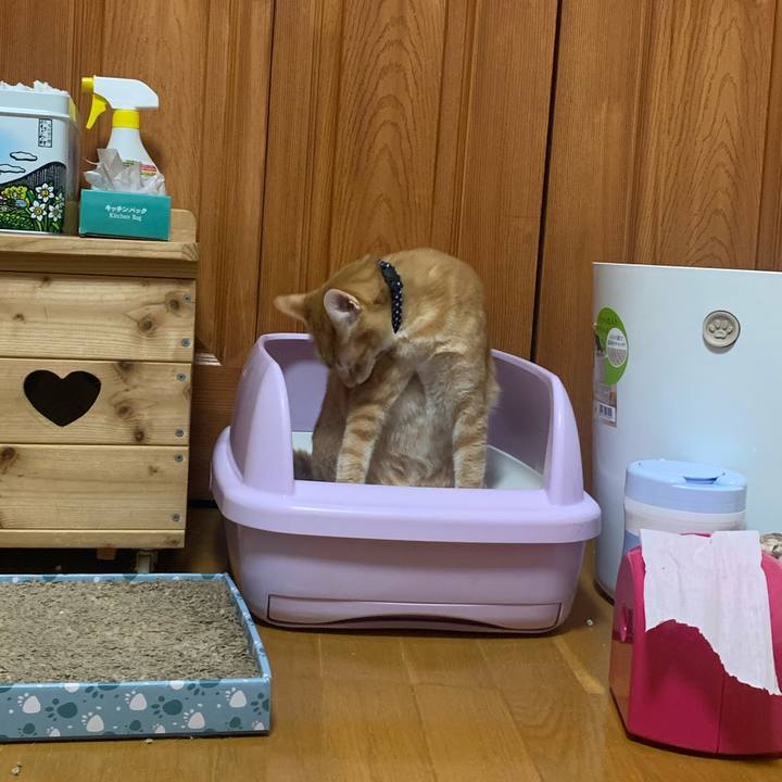 7851a9b0 c03d 4a4e ae2e 1c1f94b7b70d 1583359990370