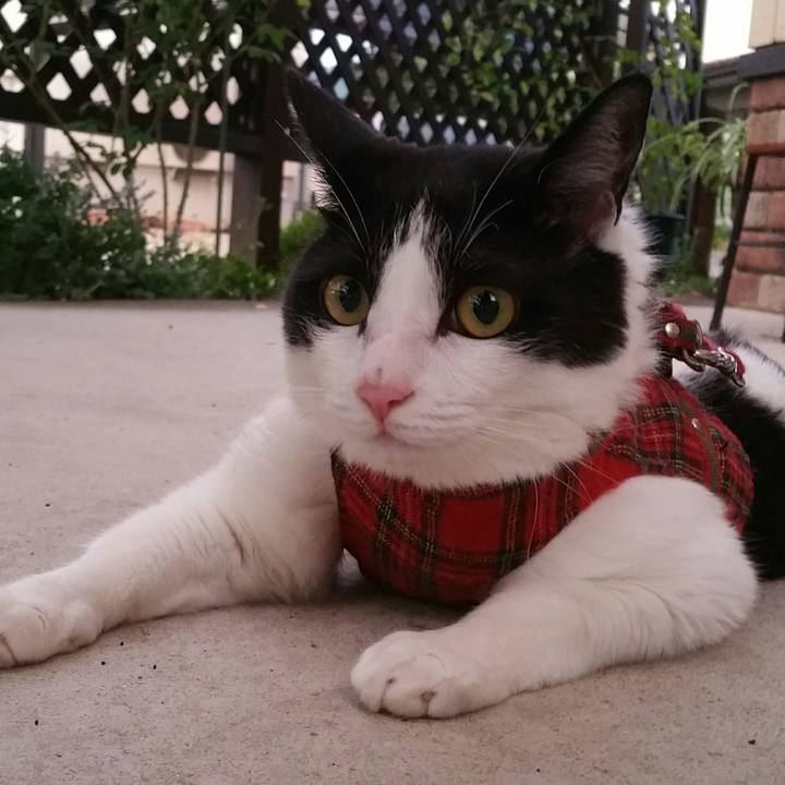 7851cb21 63b7 4524 8a55 c907d61c7d01 1565177015183