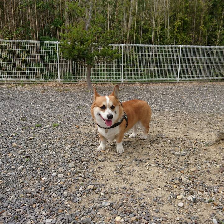 78521135 74a4 496e b07f af21108a6ebe 1619504702911