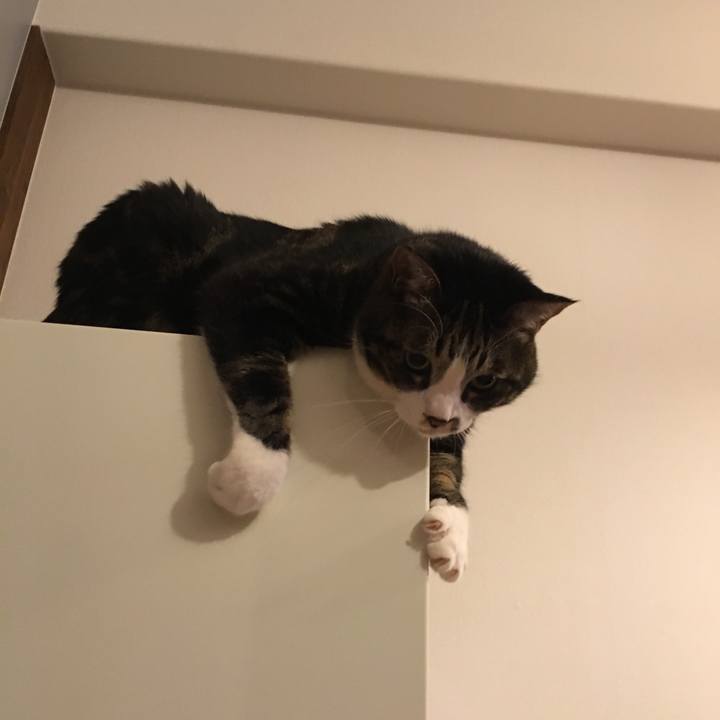 78523be5 3c56 4590 8768 f7a4f7f543f6 1514331502638