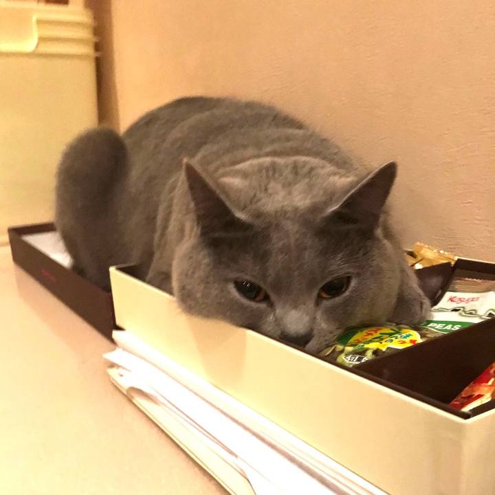 78524d52 931b 4b4b b6b6 d25ec200db87 1549713813446